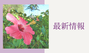 お知らせ/最新情報